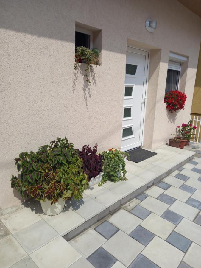 Leda Apartmani سميديريفو المظهر الخارجي الصورة